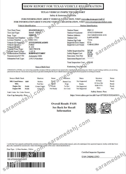 USA Texas vehicle inspection report